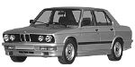 BMW E28 P252A Fault Code